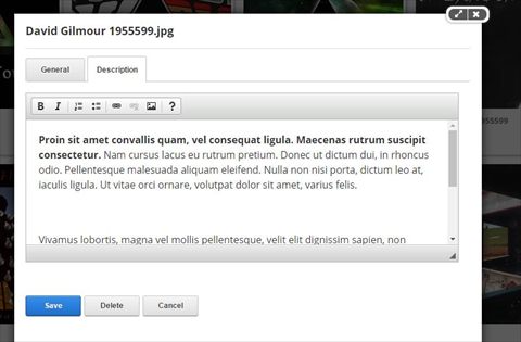 editing an item - description tab