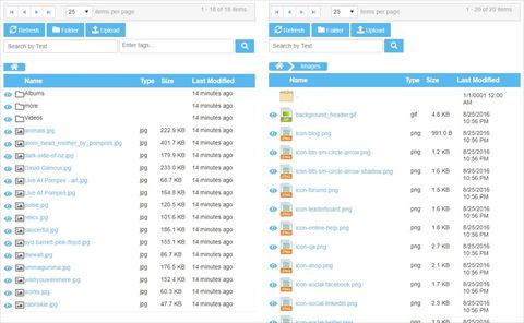 Multiple Instances on the same page