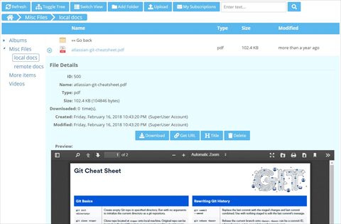 PDF files direct previewing